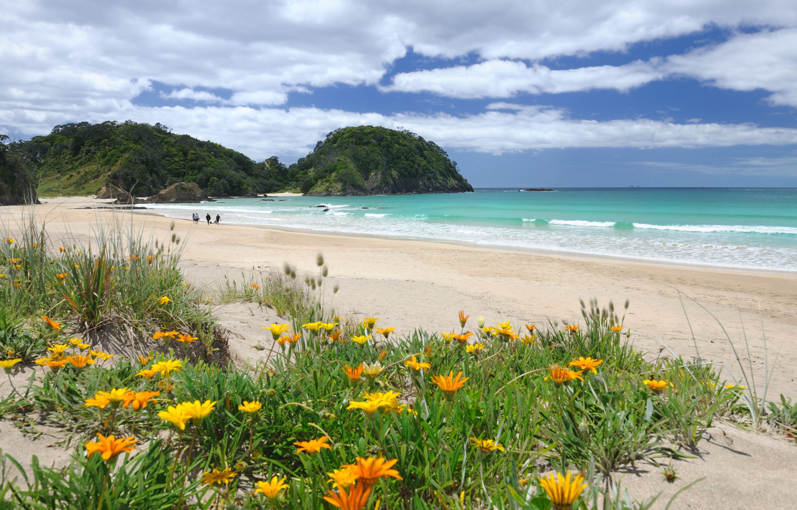 Whale Bay Beach